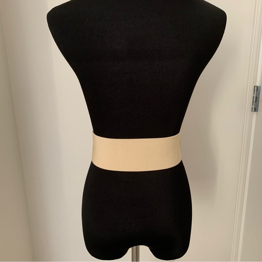 A|X Wide Belt - Picture 3 of 9